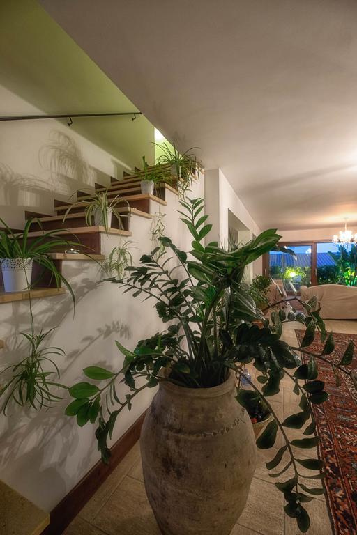 Casa Mathea Villa ตาออร์มินา ภายนอก รูปภาพ